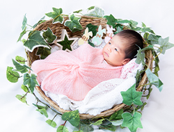 �X�^�W�I�C���[�W